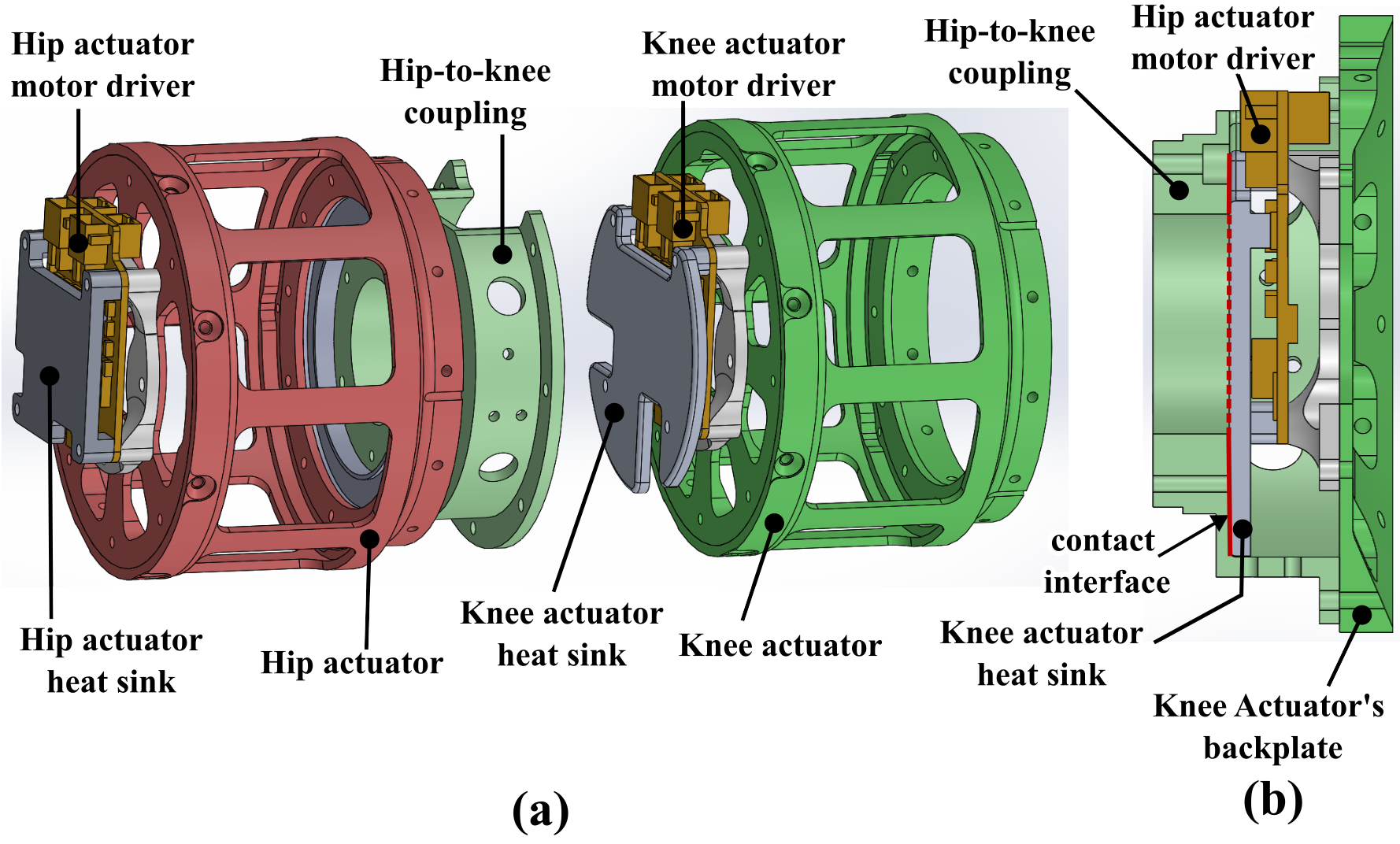 Thermal Management: exploded and cross-section views of the knee heat sink