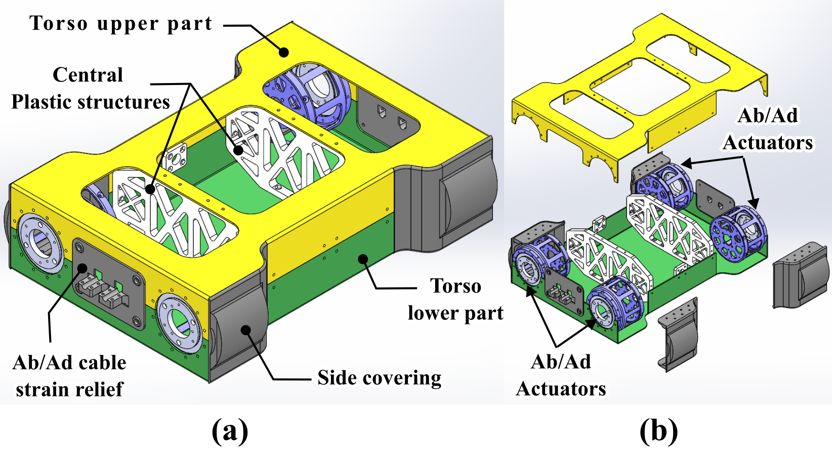 Torso Diagram: (a) Details of Torso design (b) Exploded view of Torso